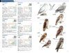 The CNG Field Guide to the Birds of China [Chinese]