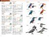 The CNG Field Guide to the Birds of China [Chinese]