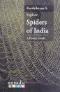 Explore Spiders of India
