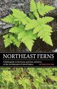 Northeast Ferns