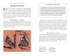 The Little Book of Butterflies