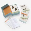Sibley Backyard Birding Flashcards