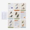 Sibley Backyard Birding Flashcards