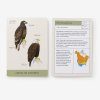 Sibley Backyard Birding Flashcards