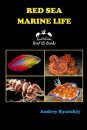 Red Sea Marine Life