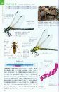 Dragonflies of Japan [Japanese]