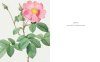 The Botanical Artist