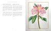 The Botanical Artist