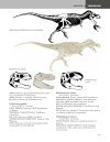 The Princeton Field Guide to Dinosaurs