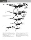 The Princeton Field Guide to Dinosaurs