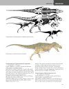 The Princeton Field Guide to Dinosaurs