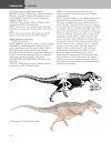 The Princeton Field Guide to Dinosaurs