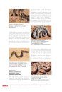 Guide des Serpents d'Afrique Occidentale, Centrale et d'Afrique du Nord [Guide to Snakes of West, Central and North Africa]