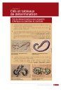 Guide des Serpents d'Afrique Occidentale, Centrale et d'Afrique du Nord [Guide to Snakes of West, Central and North Africa]