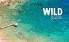 Wild Guide - Greece