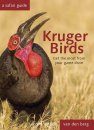 Kruger Birds
