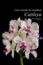 Uma Coleção de Orquídeas – Cattleya, Espécies Bifoliadas Brasileiras, Volume 3 [A Collection of Orchids – Cattleya, Brazilian Bifoliate Species, Volume 3]