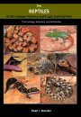 The Reptiles of the Limpopo Province and Kruger National Park