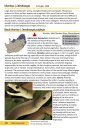 The Reptiles of the Limpopo Province and Kruger National Park