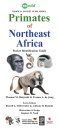 Primates of Northeast Africa