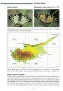 Field Guide to the Butterflies of Cyprus with Distribution Maps