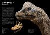 Nashonaru Jiogurafikku Sekaiichi Utsukushi Kyoryu Zukan [Dinosaurs: Profiles from a Lost World]