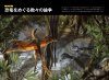 Shinsetsu Kyoryu: Nurikae Rareta Sono Sugata to Seitai [The New Theory of Dinosaurs: Their Appearance and Ecology Repainted]