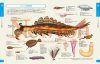 Visual Book of the Paleoorganism [Japanese]