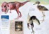 The Perfect Guide of Feathered Dinosaur [Japanese]