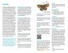 Zakgids Vlinders van de Benelux [Pocket Guide to the Butterflies of the Benelux]