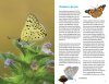 Zakgids Vlinders van de Benelux [Pocket Guide to the Butterflies of the Benelux]