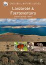 Crossbill Guide: Lanzarote and Fuerteventura, Spain