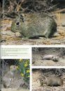 Los Mamíferos de Argentina y la Región Austral de Sudamérica [The Mammals of Argentina and the Southern Region of South America]