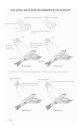 Field Guide to North American Flycatchers: Kingbirds and Myiarchus