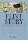 Flint Story