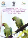 Faunal Diversity of Lesser Known Fauna of Cauvery Estuary and Adjacent Areas, Tamil Nadu, India