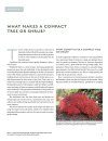 The Complete Guide to Compact Trees and Shrubs for the Garden