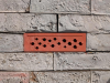 Solitary Bee Bricks