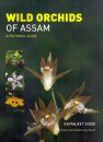 Wild Orchids of Assam