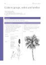 Flowering Plant Families of Southern Africa