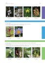 Flowering Plant Families of Southern Africa