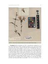 Flowering Plants of Africa, Volume 68: Plates 2381–2400