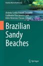 Brazilian Sandy Beaches