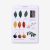 Sibley Tree Identification Flashcards