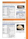 A Guide to the Hunter Shells: The Streptaxoidea (2-Volume Set)