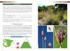 Guía de Campo de las Ciperáceas de España y Portugal [Field Guide of Spanish and Portuguese Sedges (Cyperaceae)]