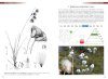 Guía de Campo de las Ciperáceas de España y Portugal [Field Guide of Spanish and Portuguese Sedges (Cyperaceae)]