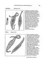 An Illustrated Guide to the Freshwater Protozoa