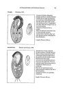 An Illustrated Guide to the Freshwater Protozoa