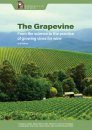 The Grapevine